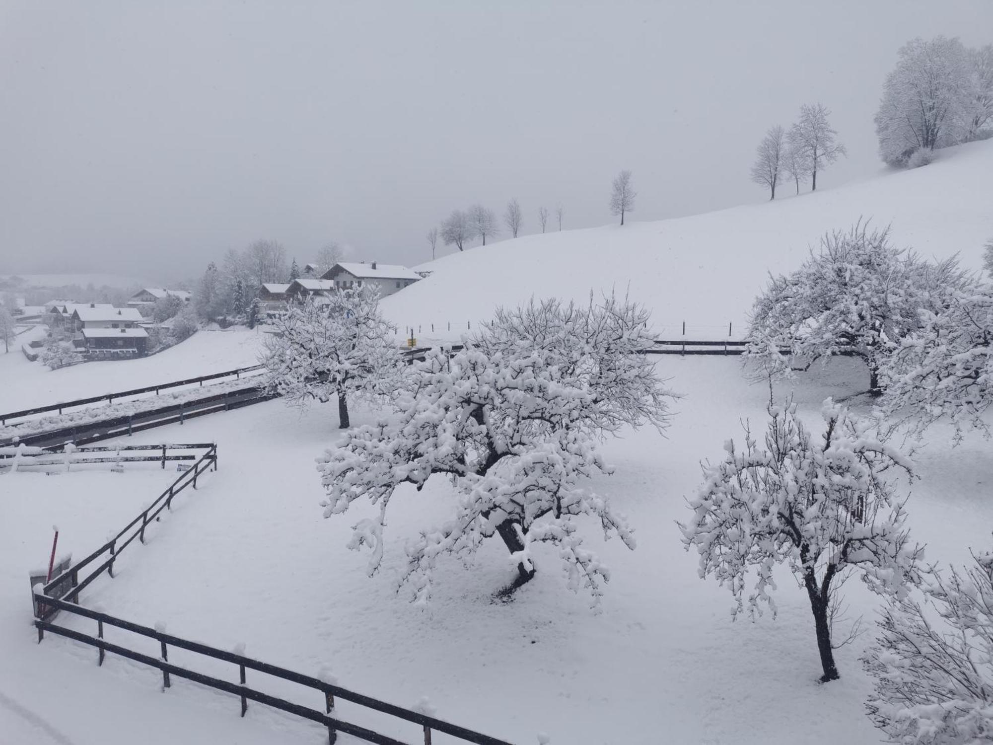 Landidyll Am Thiersee Exterior foto